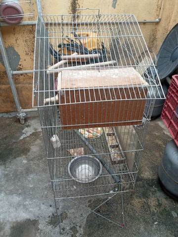 Vende gaiola