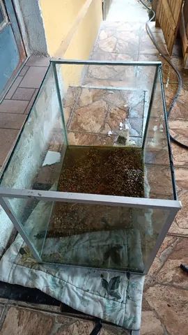 Aquário de 80 a 100 litros  - Foto 2
