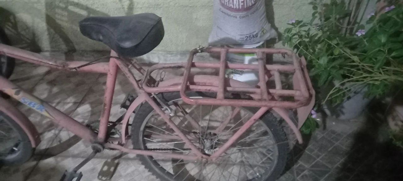 Bicicleta de Carga - Ideal para Entregas - Foto 4