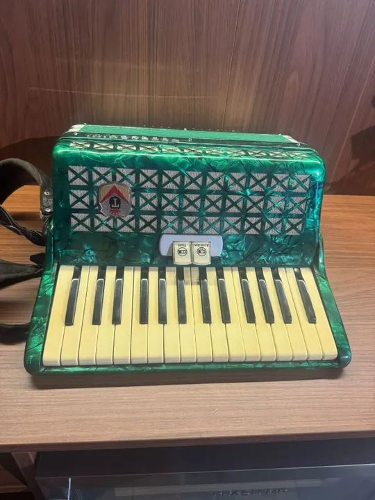 Acordeon Todeschini 48 Baixos