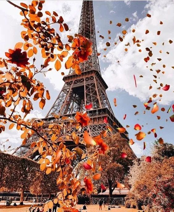 Aulas de Francês ( Niveis A1 , A2 e B1  - primeira   aula  gratuita ) - Foto 6