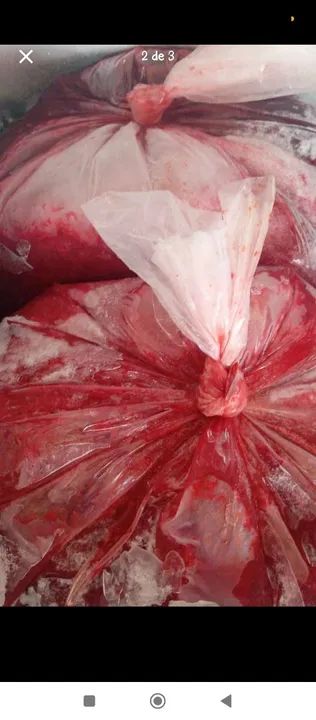 Polpa de frutas atacado  - Foto 3