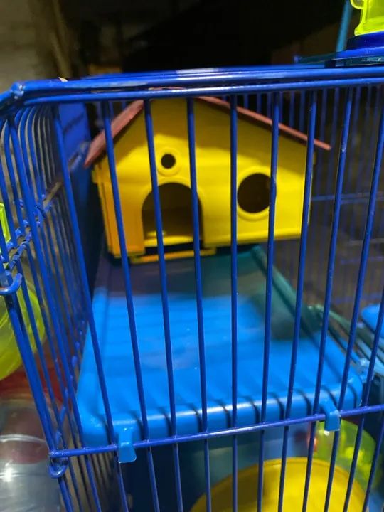 Gaiola de 3 andares para Roedores - Foto 4