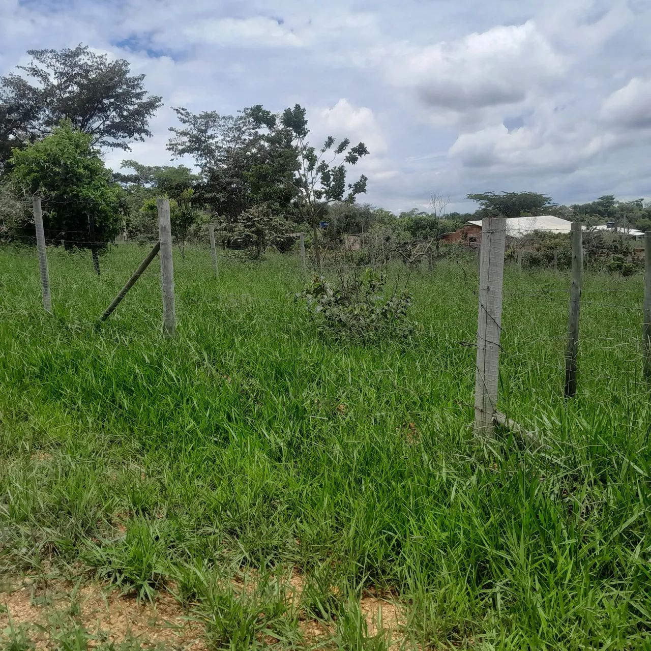Lotes com financiamento próprio em ótima localização - Foto 3