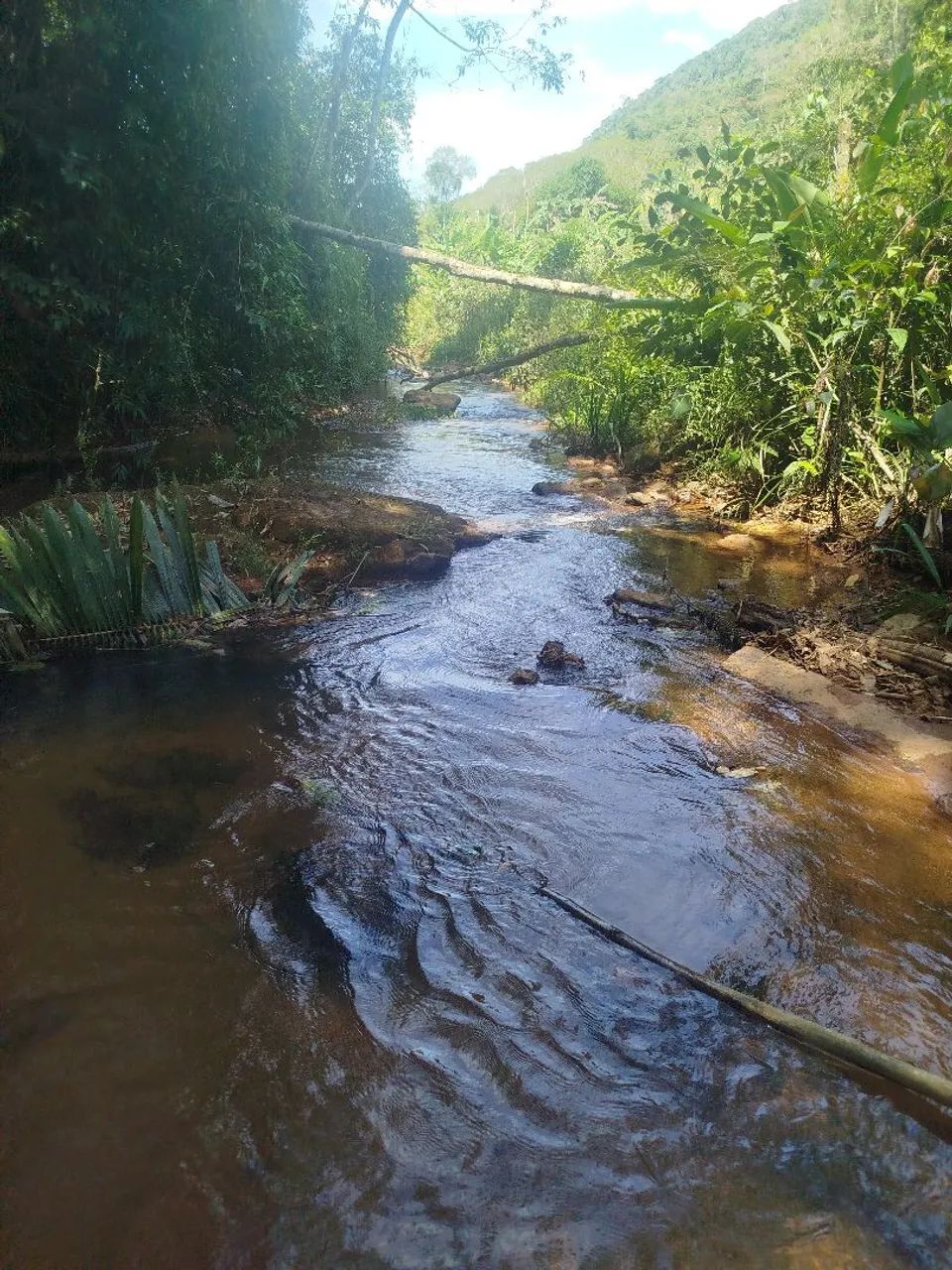 Foto - Viana - Marcílio de Noronha