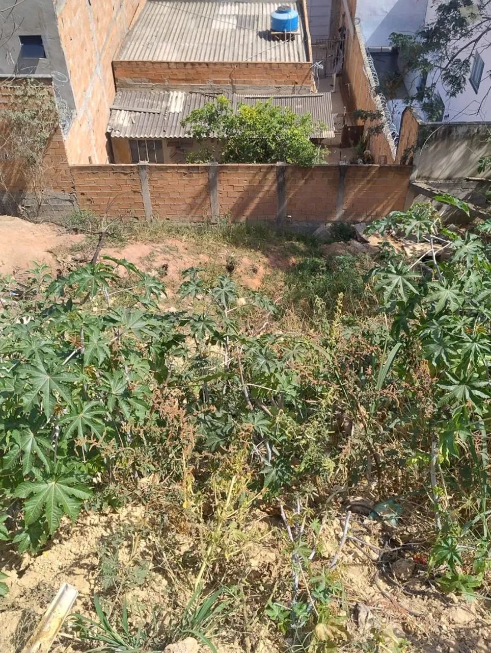 Lote 64728841916802124