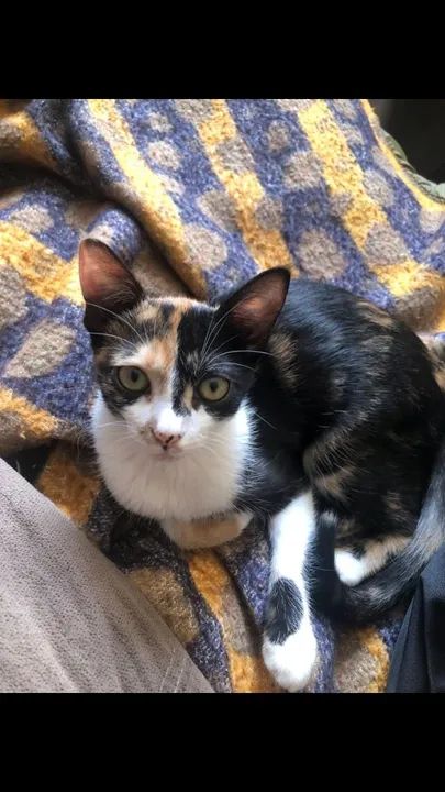 Doação pra quem realmente gosta  - Foto 2