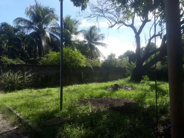 foto - Recife - Pina