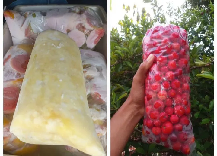 Polpas de frutas...