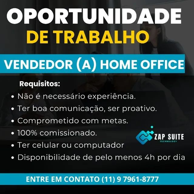 VENDEDOR (A) HOME OFFICE