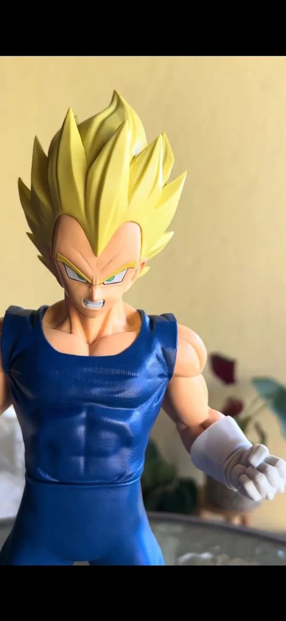Vegeta grandista com caixa - Foto 2