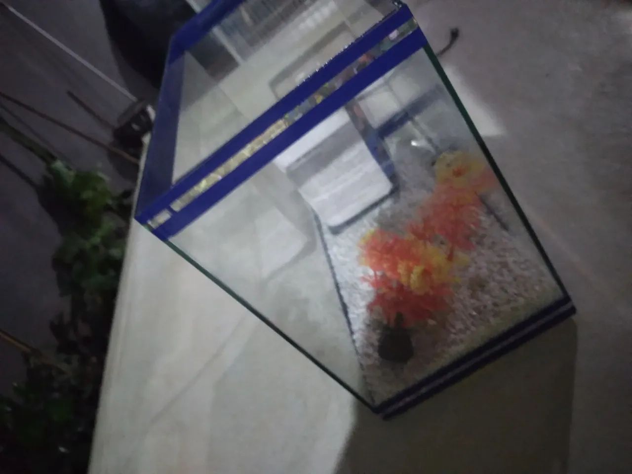 Aquário com pedras filtros planta artificial de 12 l - Foto 5