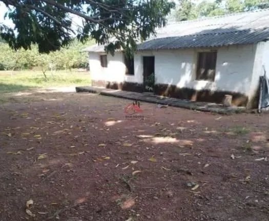 Fazenda em Tocantins com 317 Alqueires (1.574 Hectares) - Alto Potencial para Pecuária e A - Foto 5