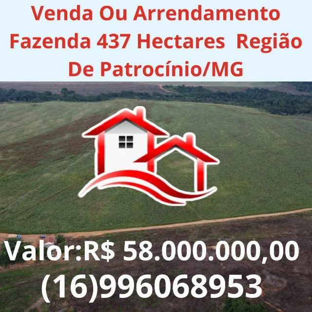 Venda Ou Arrendamento Fazenda 437 Hectares Região De Patrocínio/MG 