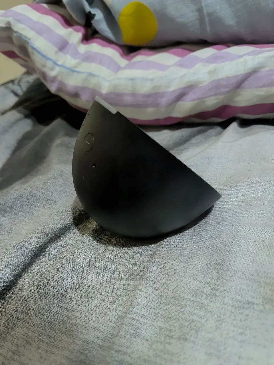 alexa - Foto 4