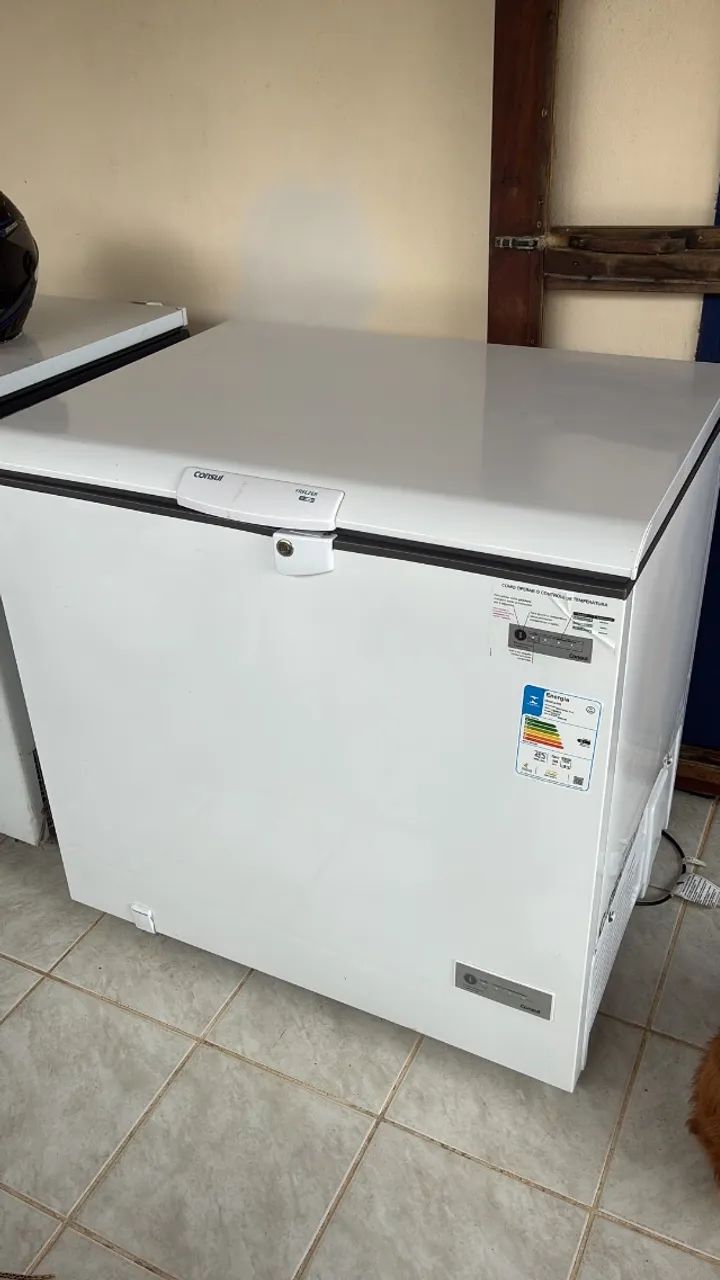 Freezer Consul 309L - 6 Meses de Uso, Na Garantia