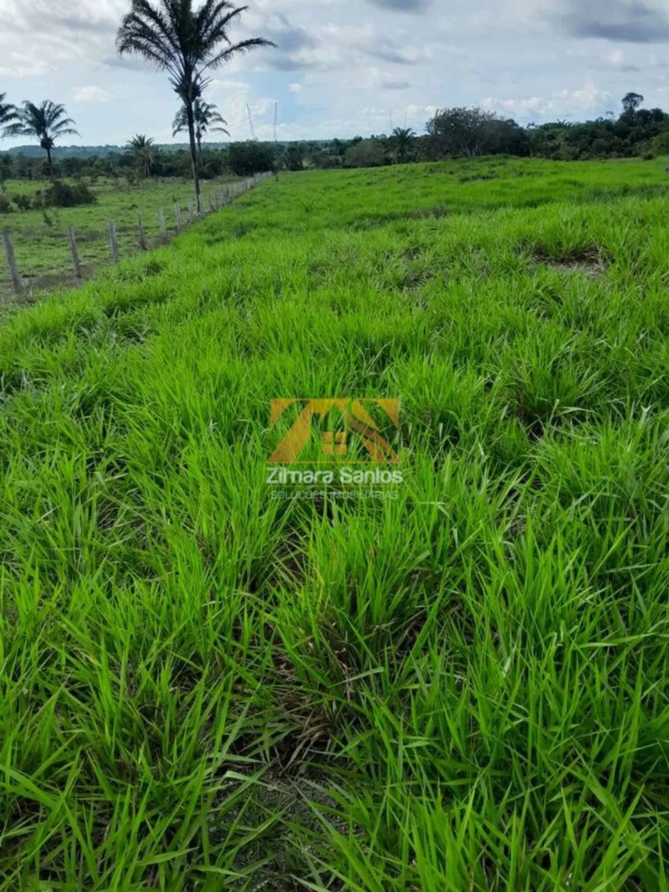 Fazenda, 62 alqueires - Piçarra/PA - Foto 5