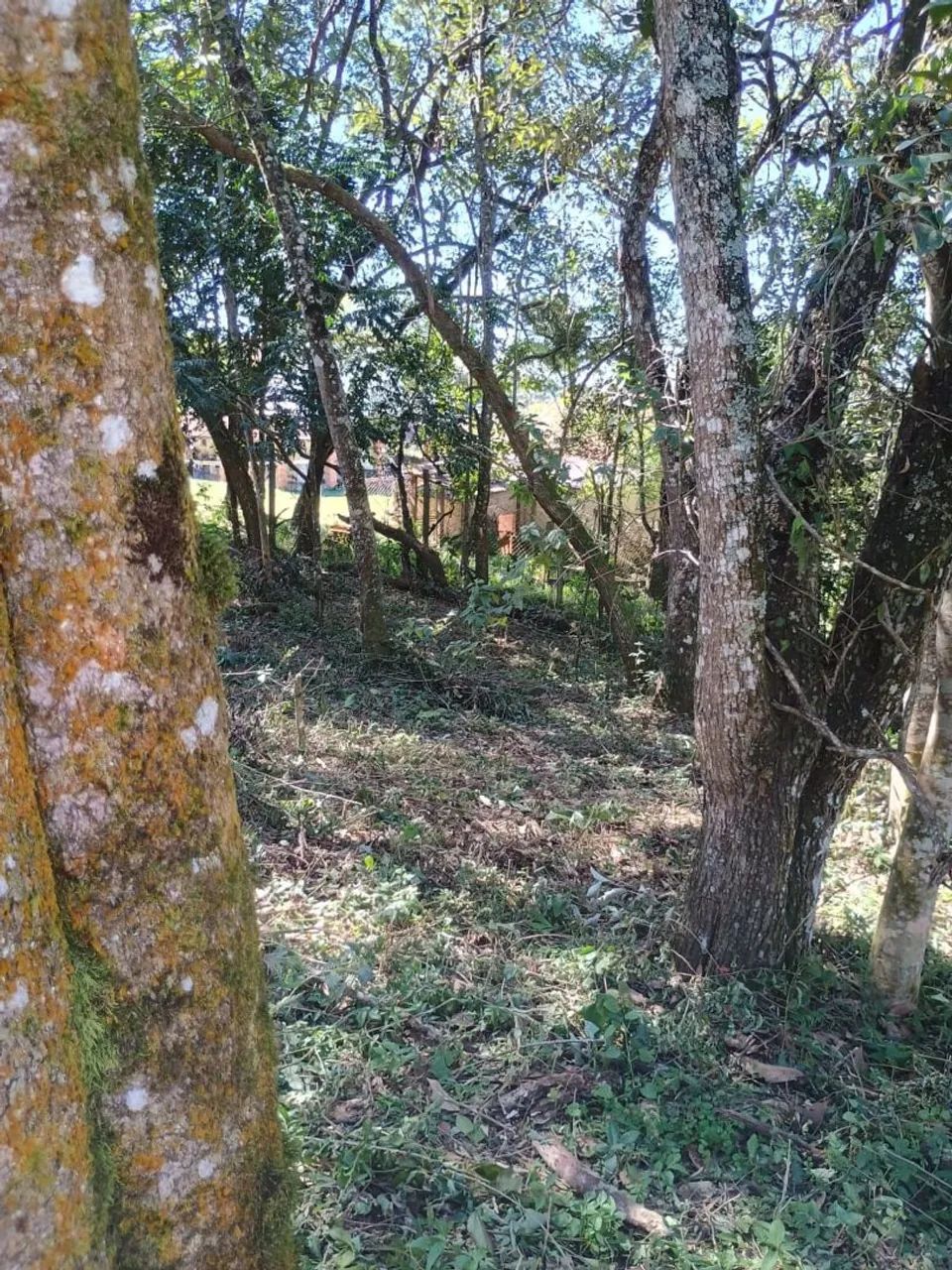 Vende-se terreno em Ibiuna  - Foto 4