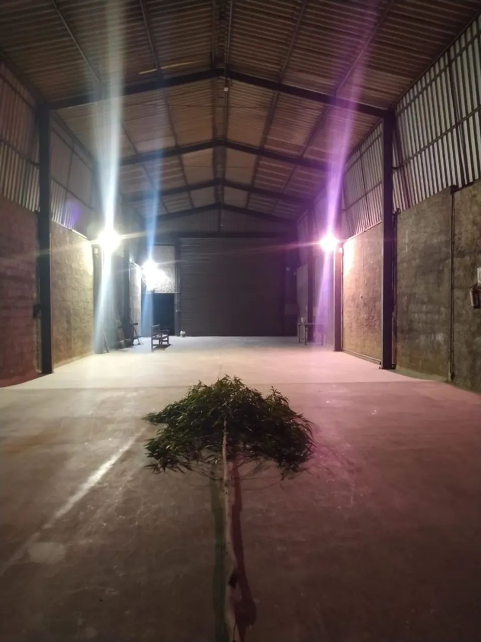 Foto - Santana de Parnaíba - Parque Fernão Dias