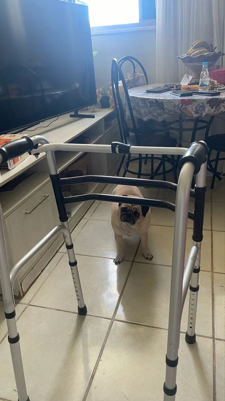 Andador e Bengala  - Foto 4
