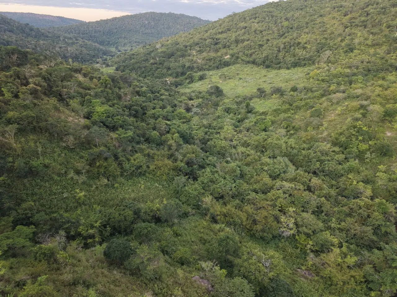 Fazenda  - Foto 2