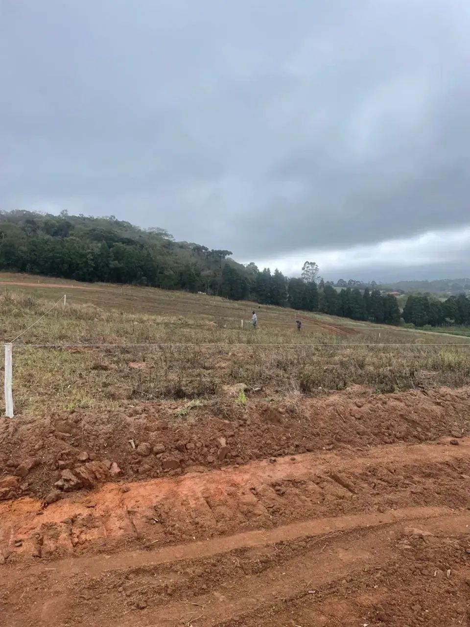 Terreno Forte em Boa Região