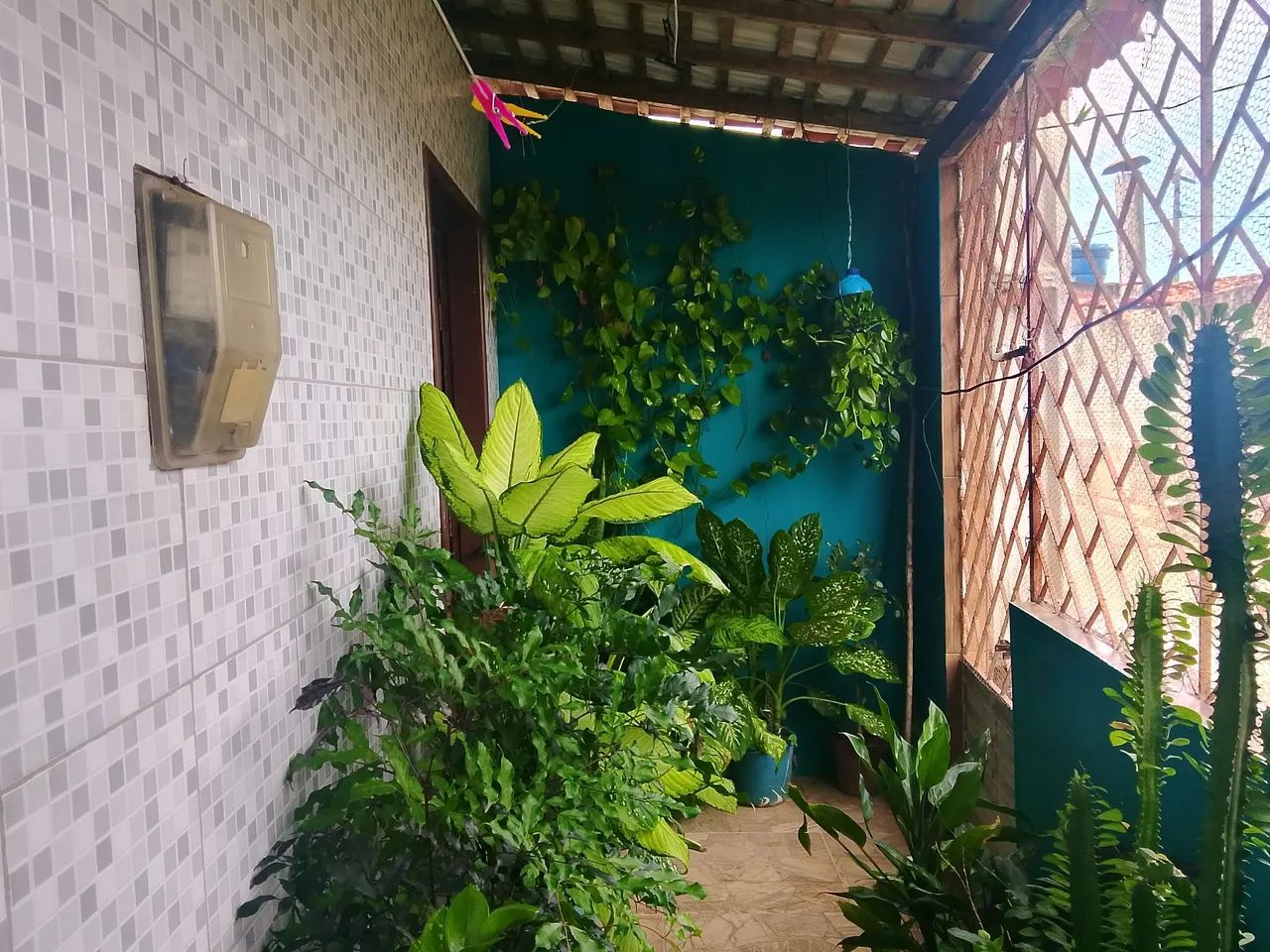 Vendo casa em capela - Foto 5