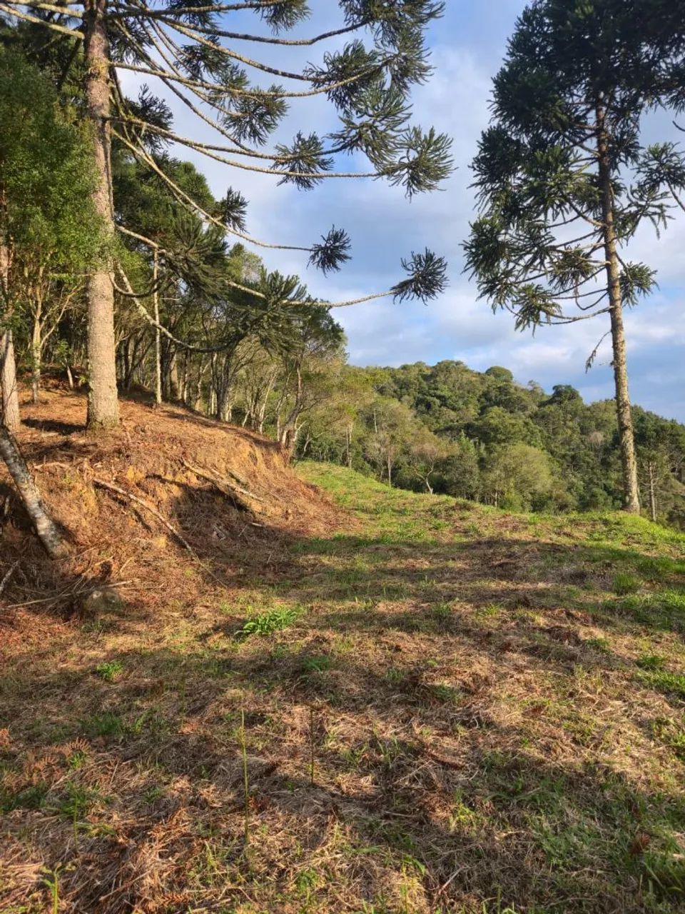 Área 10.415m2 Rancho Queimado  - Foto 4