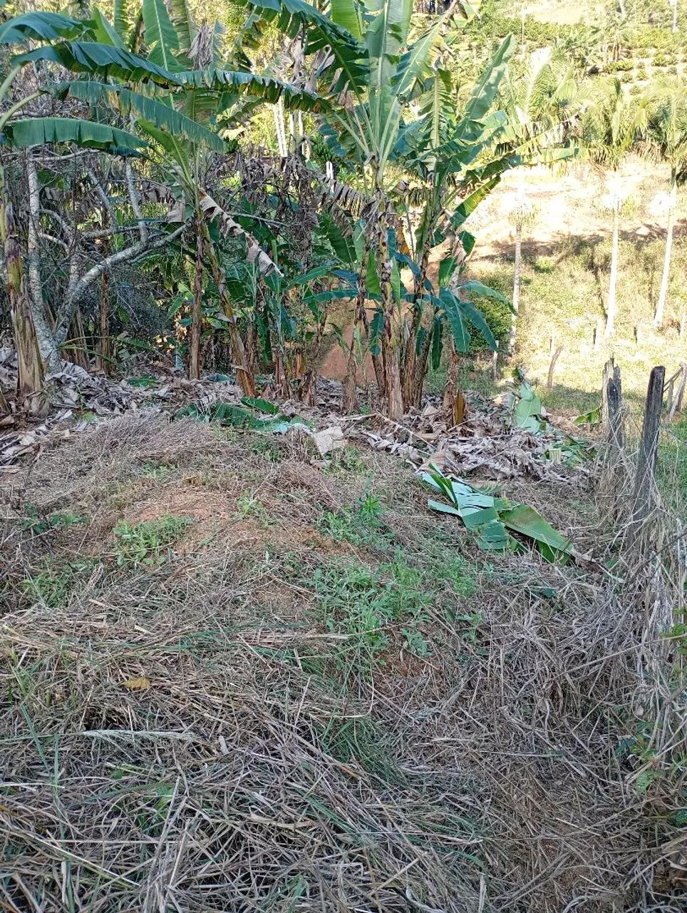 Terreno interior de Alf. Chaves  - Foto 3
