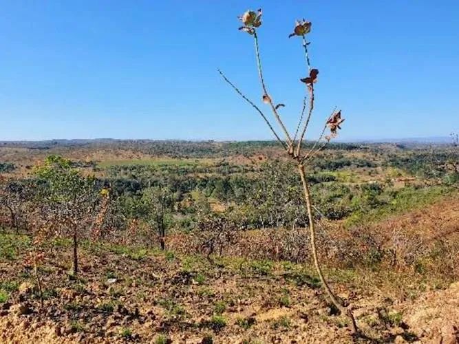 Fazenda Campo Alegre em Jaboticatubas/MG - Foto 5