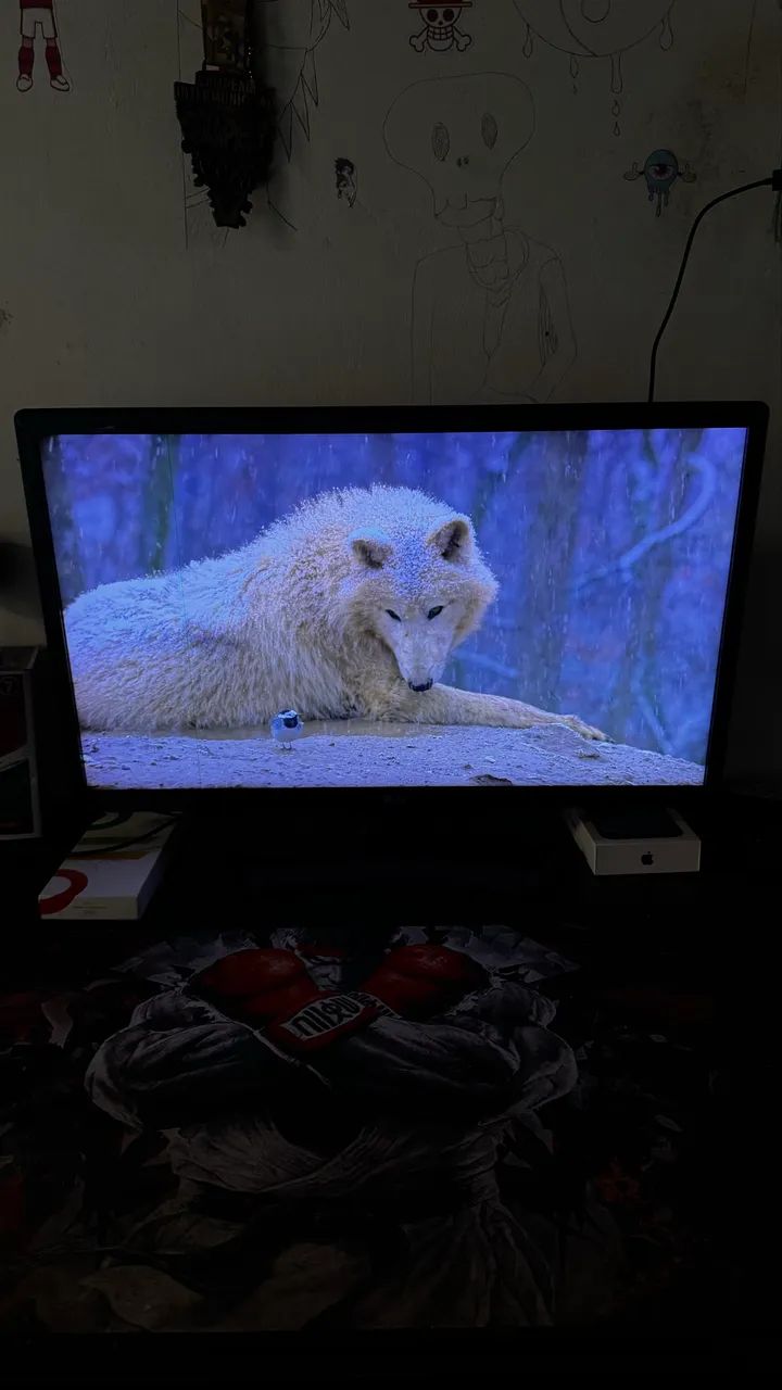 Monitor LG 60hz - Foto 4
