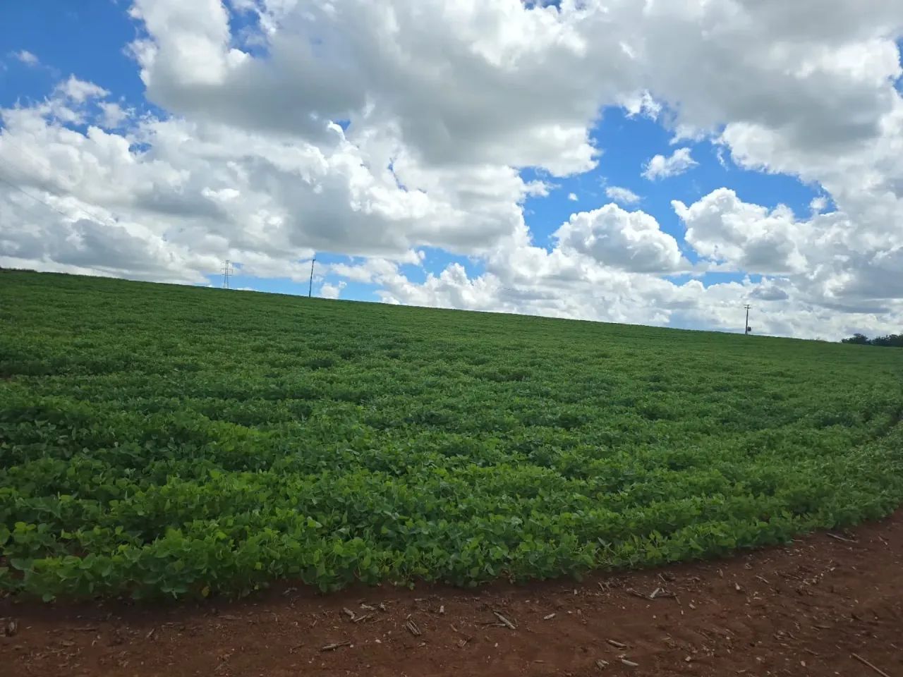 Fazenda a venda Tatuí SP - Foto 5