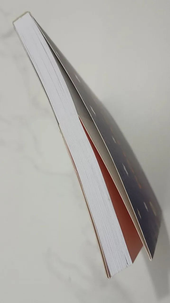 Livro Poliana - Foto 5
