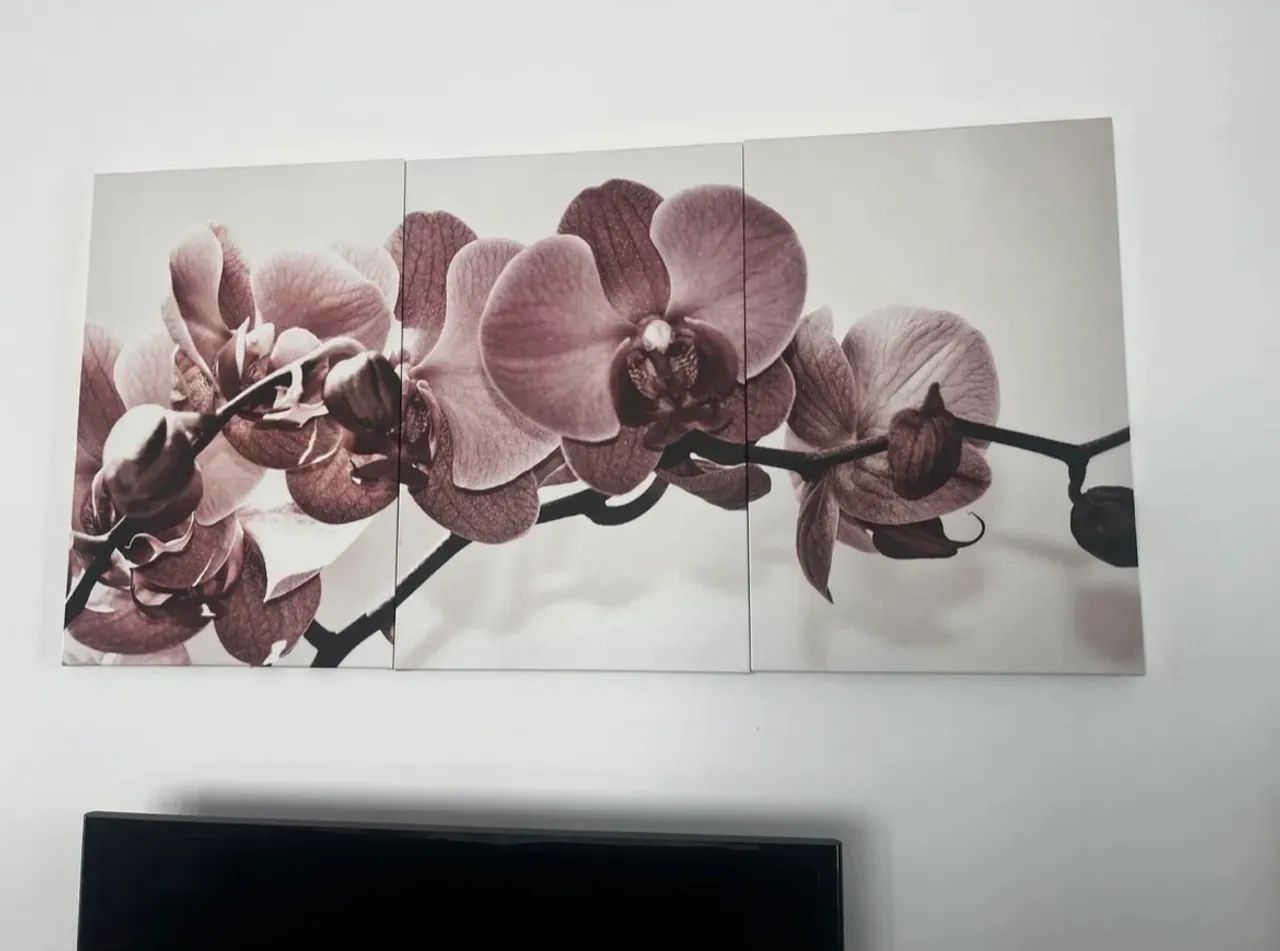 Kit quadro orquídea  - Foto 2