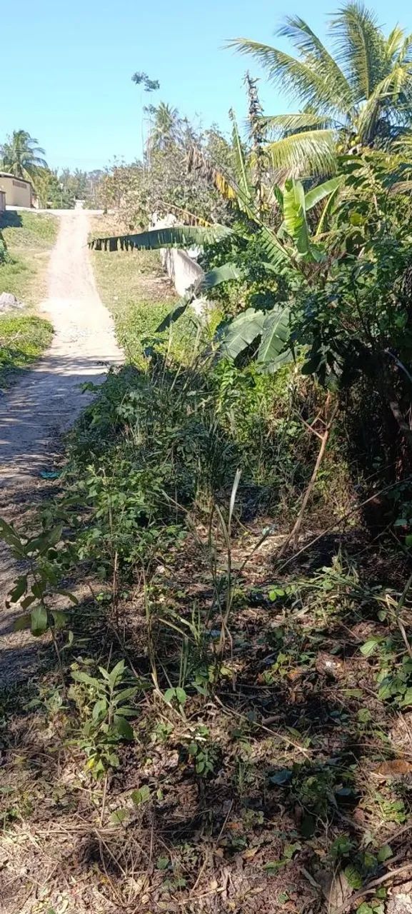 Vendo terreno com escritura IPTU e Luz