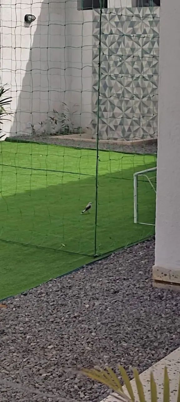 Área de Lazer - Foto 4
