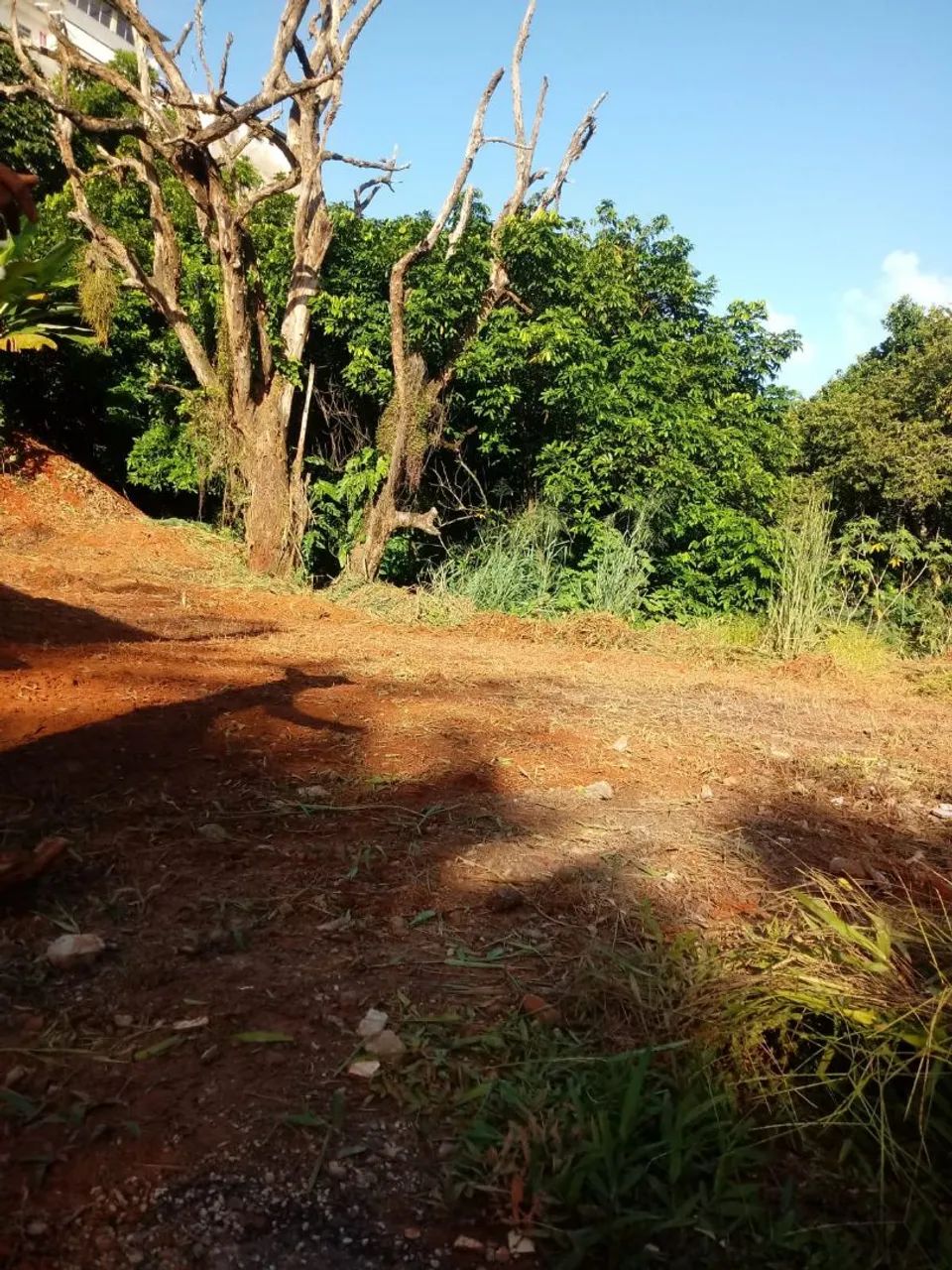 VENDO TERRENO FINAL DE LINHA DO DORON - Foto 4