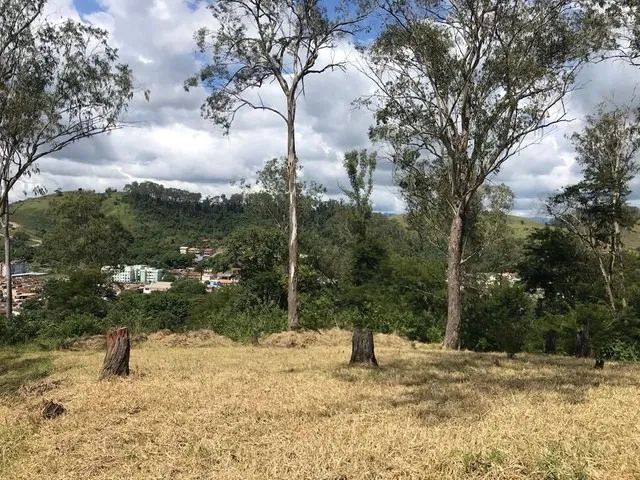 Terreno de 1.150m2 - Foto 4