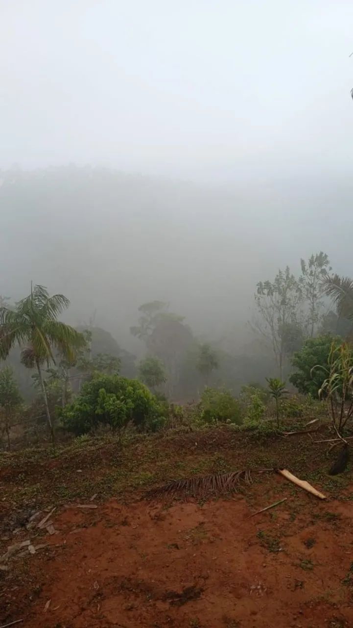 Sítio em Santa Teresa - Foto 3