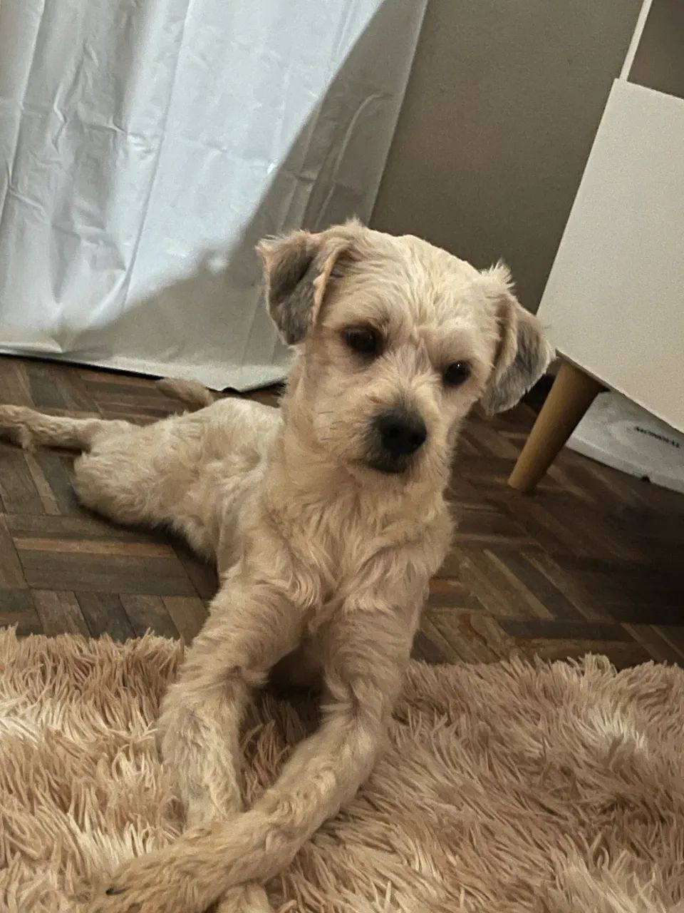 Doação  - Foto 2