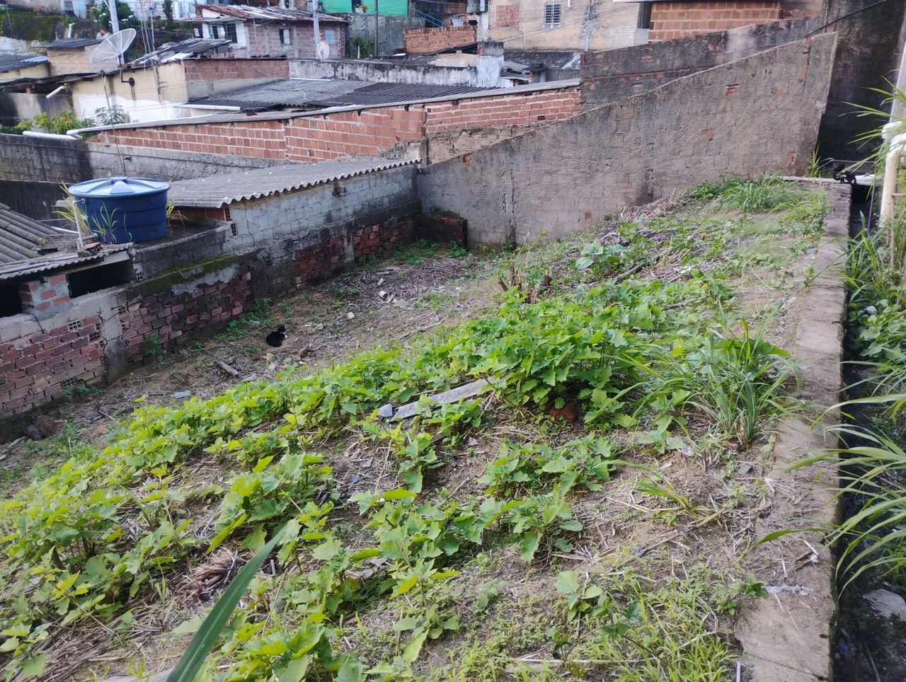 Terreno na Lagoa encantada  - Foto 4