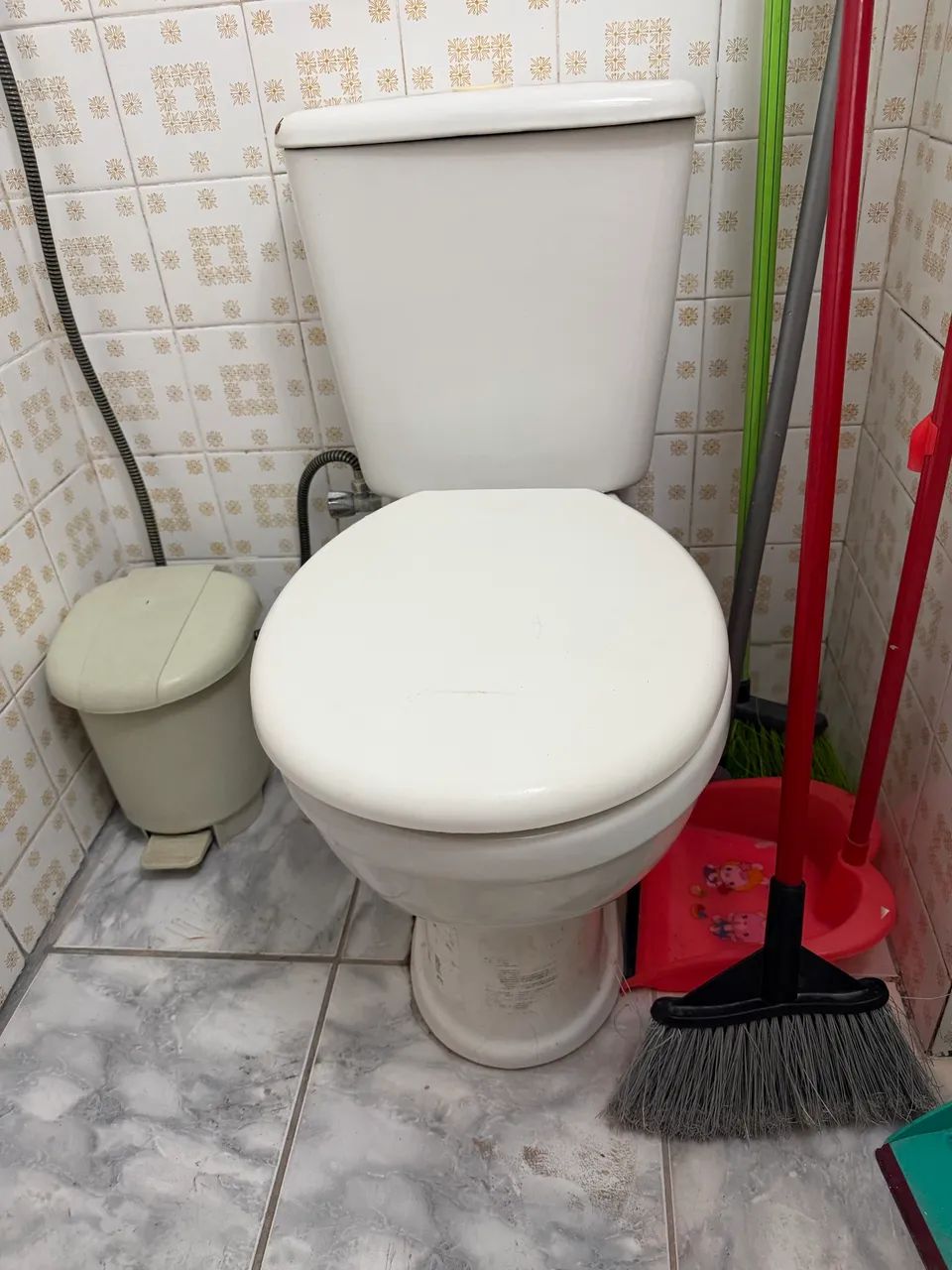 Toilet Bowl