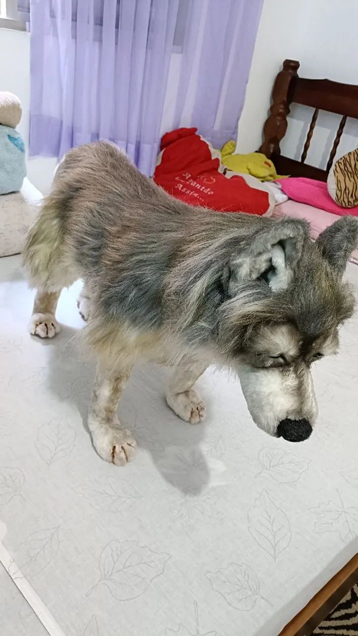 Cachorro 3D feito a mão - Foto 2