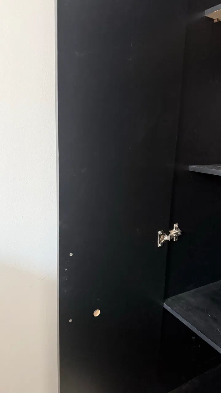 Armário Multiuso 2 portas - Foto 4