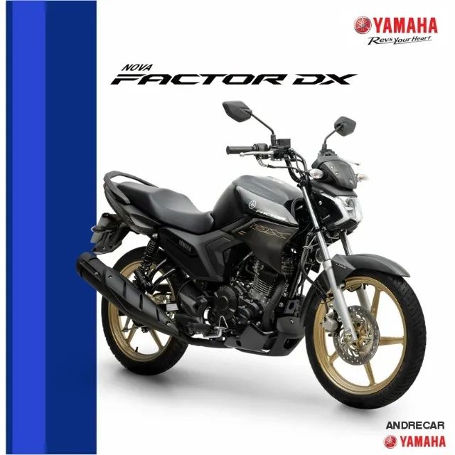 Factor 150 DX - Foto 3