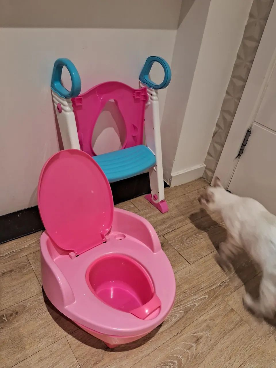 Assento infantil- privada e penico - Foto 4