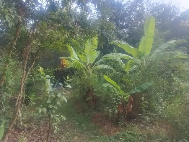 Oportunidade - Sitio Encontro das Águas - 70.000m2 - Foto 3