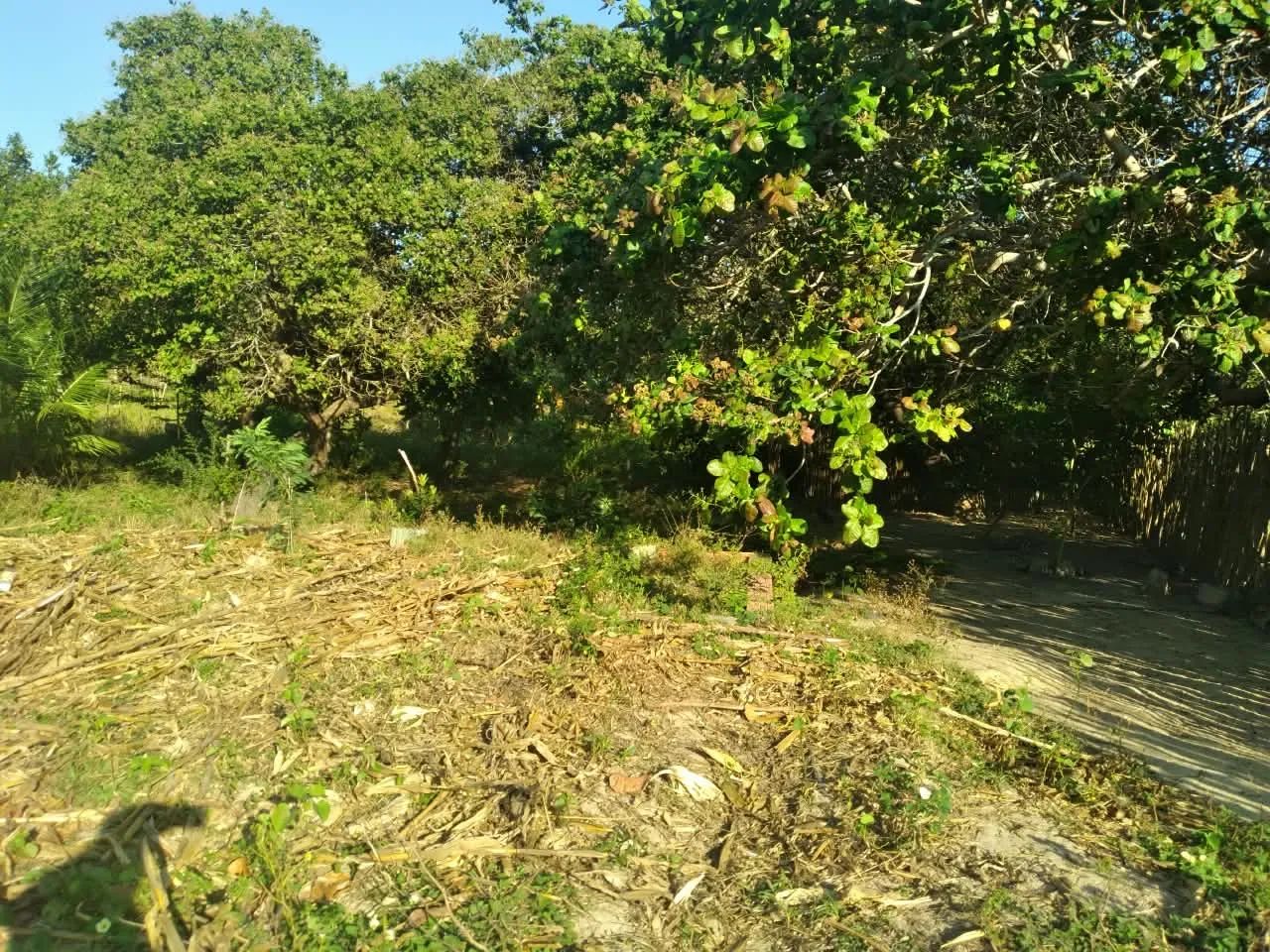 VENDO TERRENO COM CASA - ITAPIPOCA - Foto 3