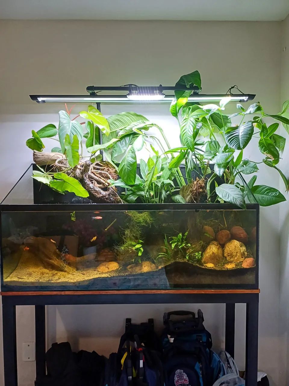 Aquario 192 Litros