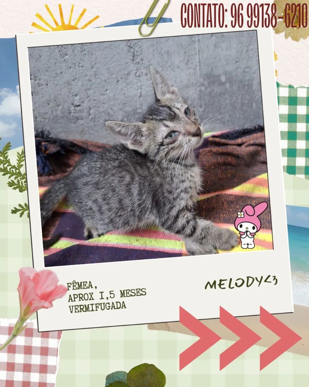 Gatinhos em adoção - Foto 3